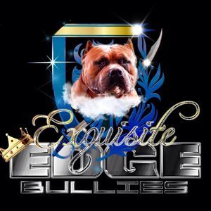 Meet your Posher, Wesley